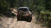 27-Zebra climbs through some deep ruts on Mt Stawell Track